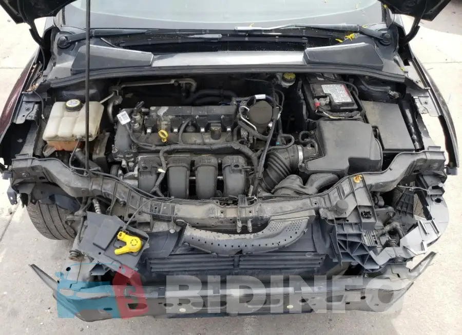 1FADP3F24GL242912 Photo# 11