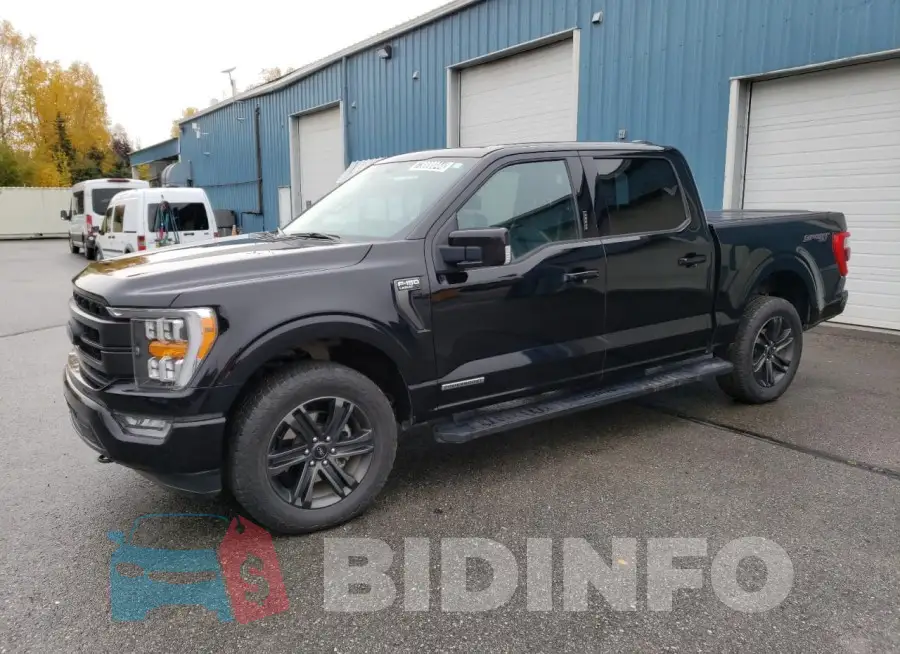 1FTFW1ED9MFB59869 Photo# 1