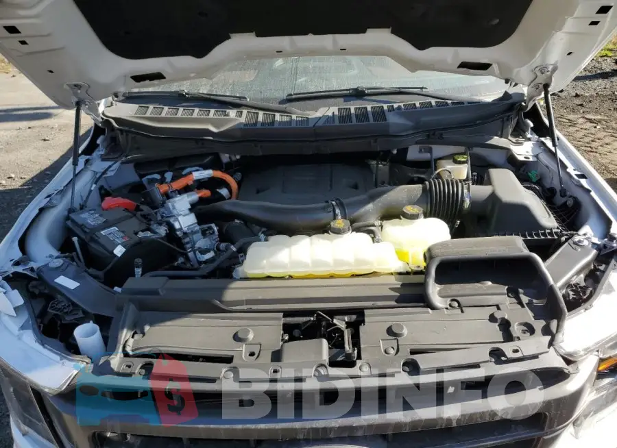 1FTFW1EDXPFD02199 Photo# 11