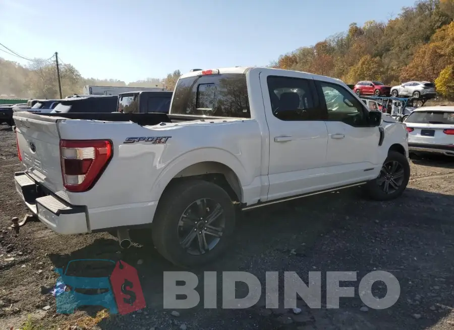 1FTFW1EDXPFD02199 Photo# 3