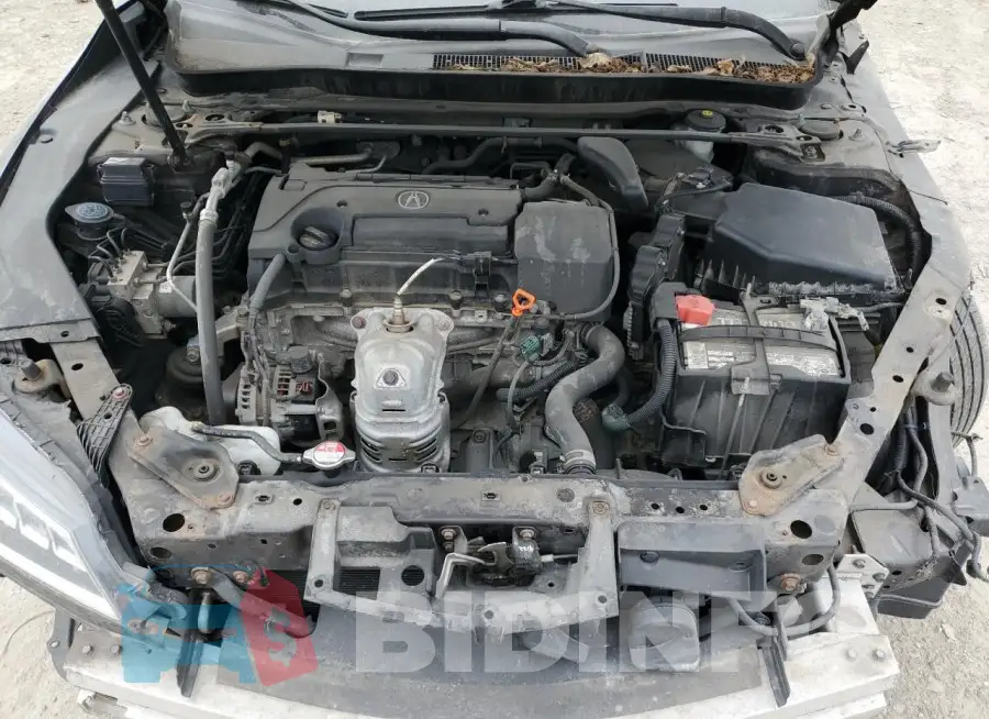 19UUB1F51FA022565 Photo# 11