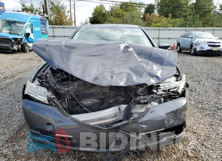 19UUB2F35FA017759 Photo# 5