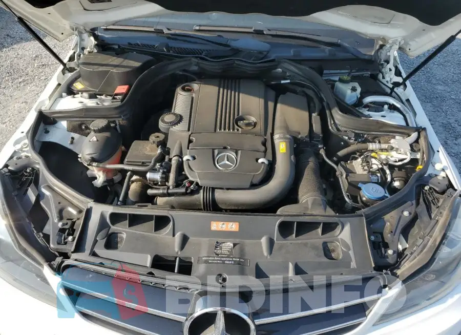 WDDGJ4HB1FG403726 Photo# 11
