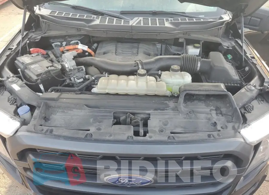1FTFW1EDXMFB41428 Photo# 11