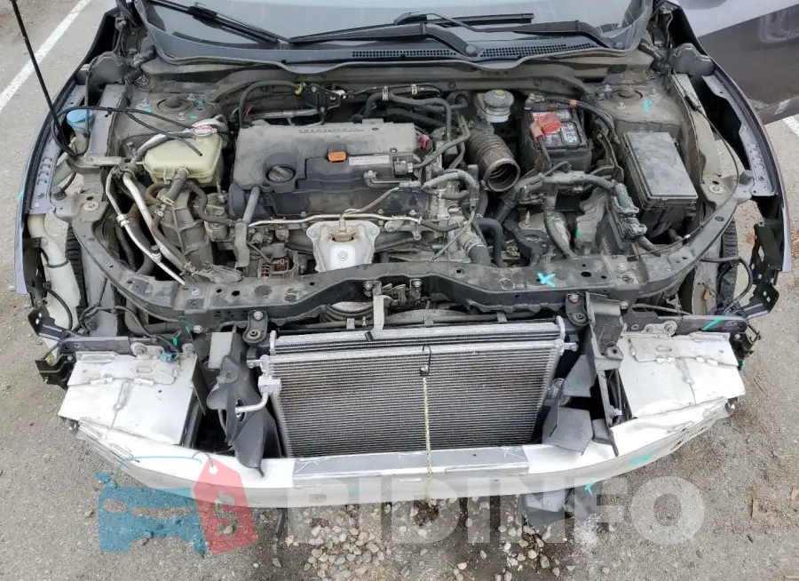 19XFC2F57GE222648 Photo# 11