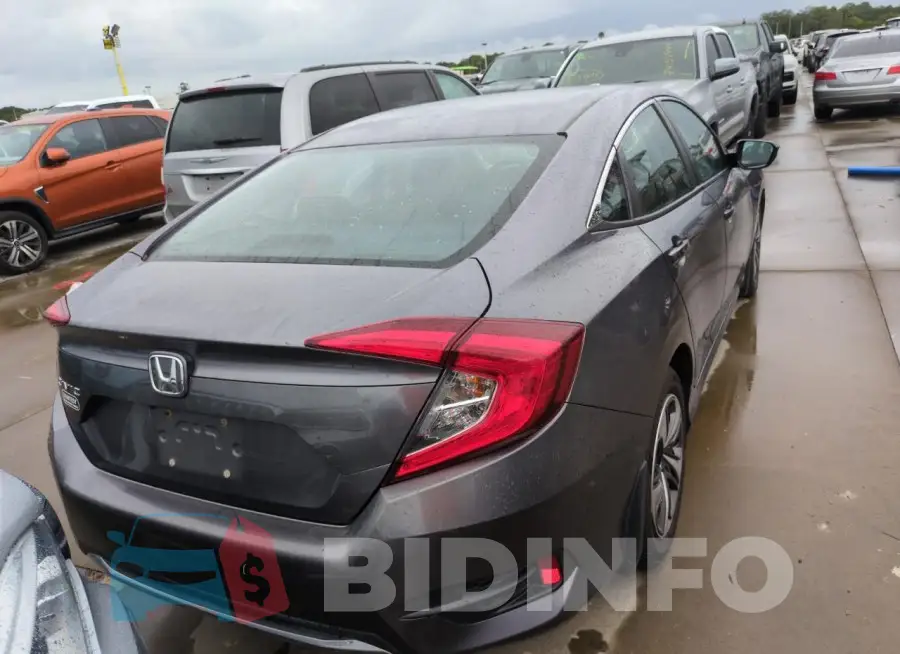 19XFC2F61LE206366 Photo# 6