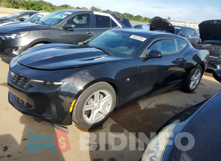 1G1FB1RS8M0139824 Photo# 1