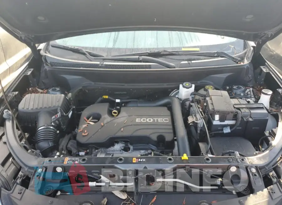 2GNAXKEV4L6154942 Photo# 12