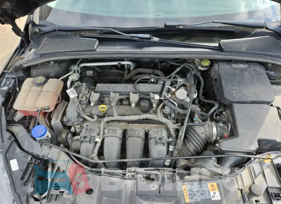 1FADP3F26GL317125 Photo# 11