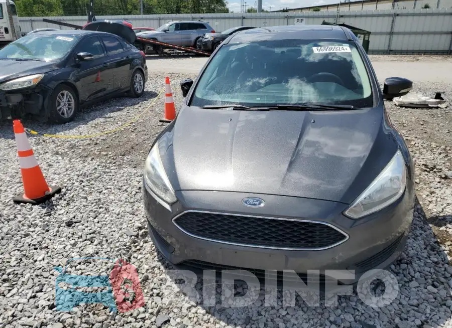 1FADP3F28GL248731 Photo# 5