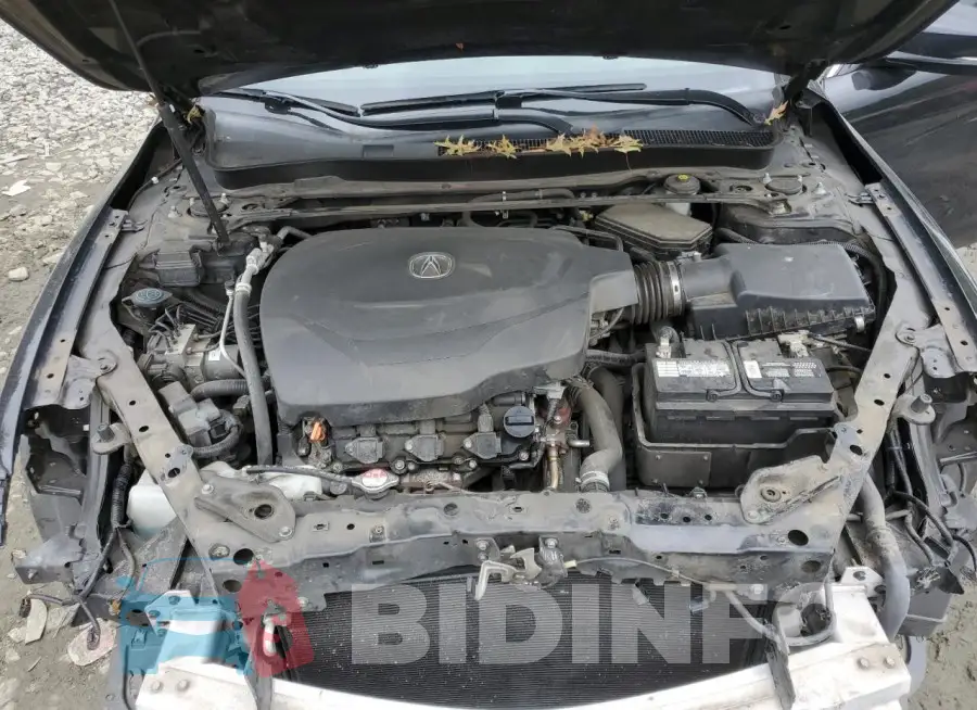 19UUB2F34GA002526 Photo# 11