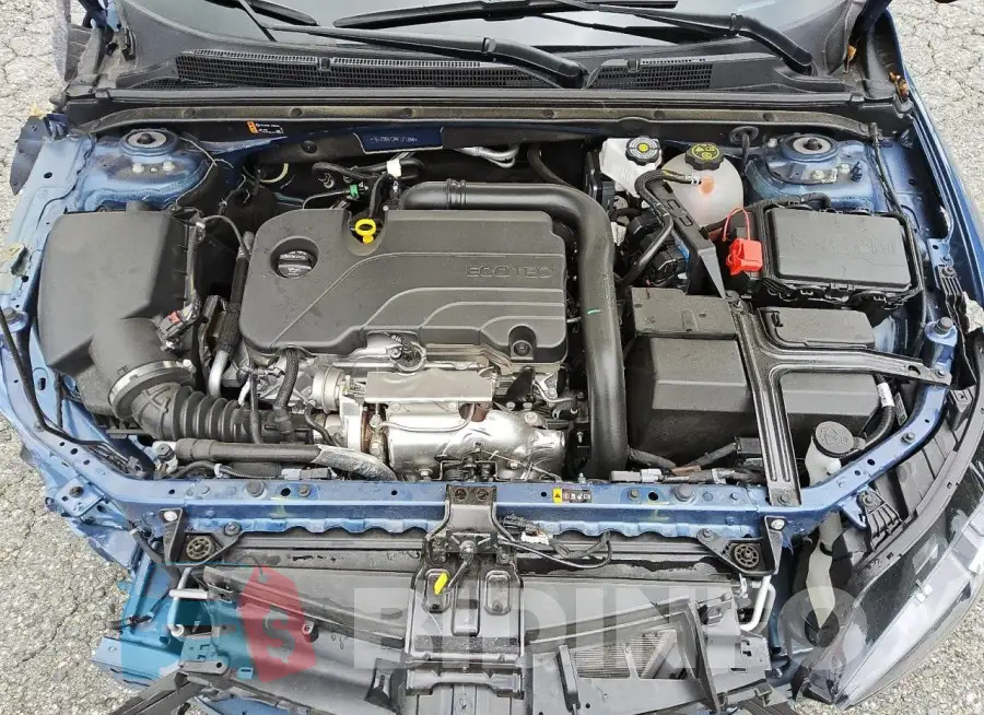 1G1ZD5ST2RF171268 Photo# 11