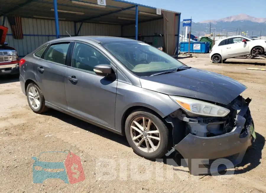 1FADP3F24HL219597 Photo# 4