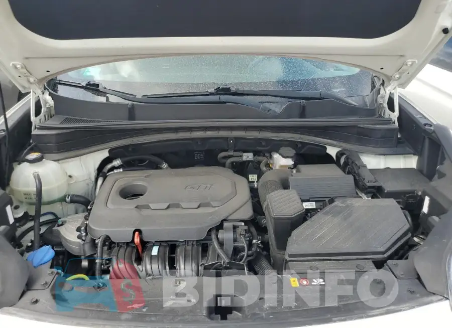 KNDPM3AC7K7618987 Photo# 11