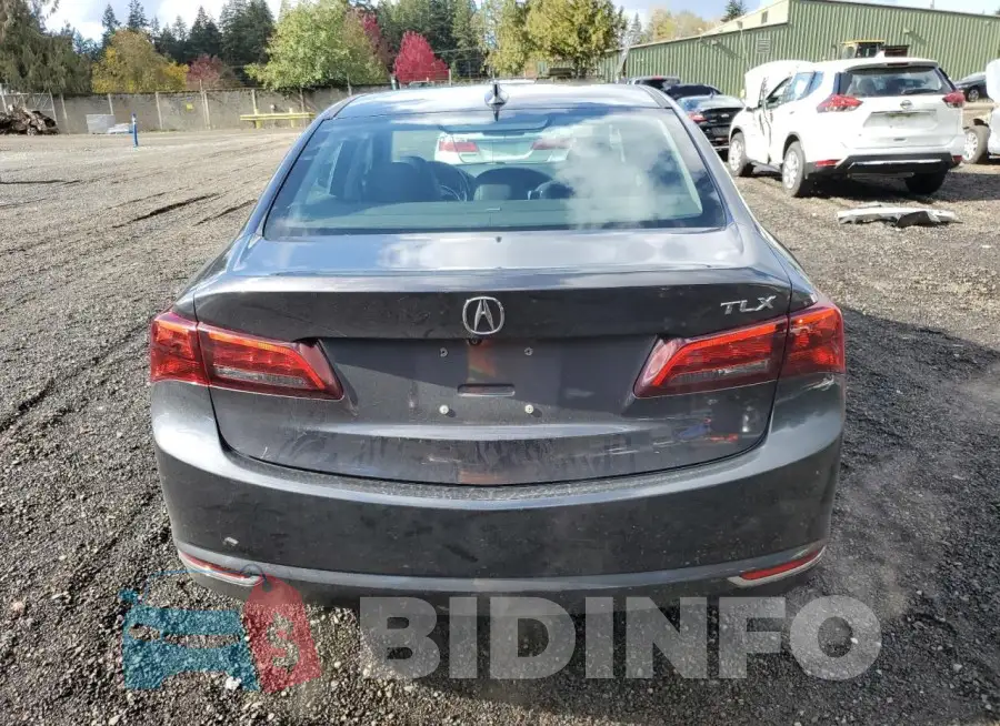 19UUB2F55FA010974 Photo# 6