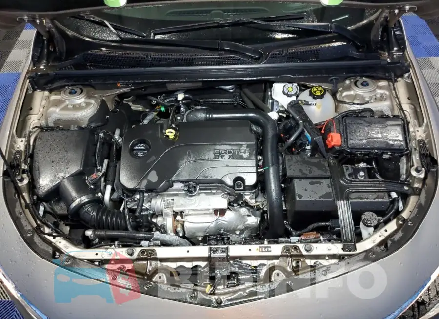 1G1ZD5ST1RF169981 Photo# 11
