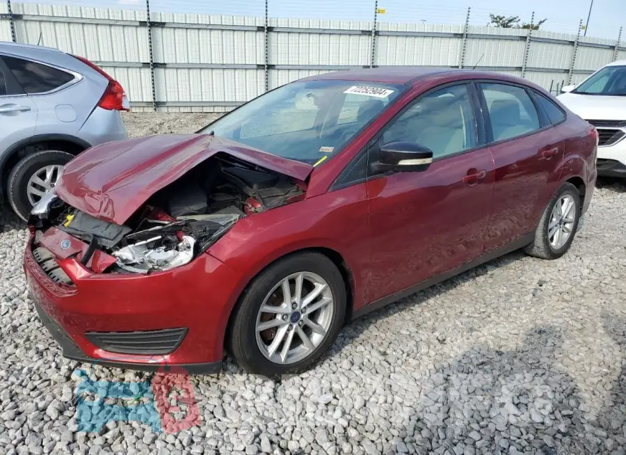 1FADP3F29GL323775 Photo# 1