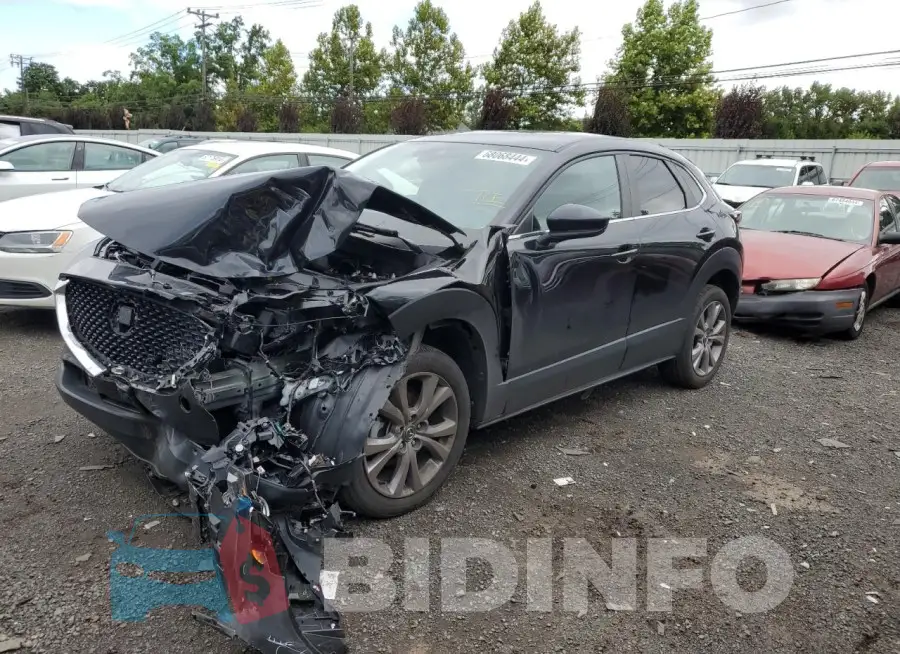 3MVDMBBL9MM222126 Photo# 1