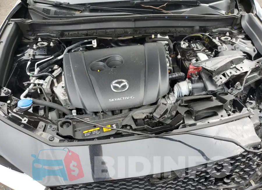 3MVDMBBL9MM222126 Photo# 12