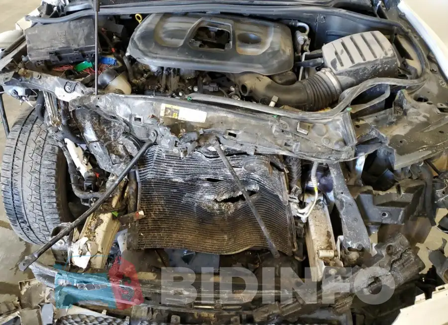 1C4RDJDG3LC308145 Photo# 12