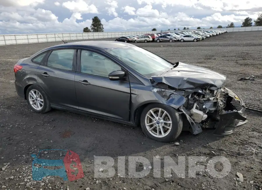 1FADP3F21GL384327 Photo# 4