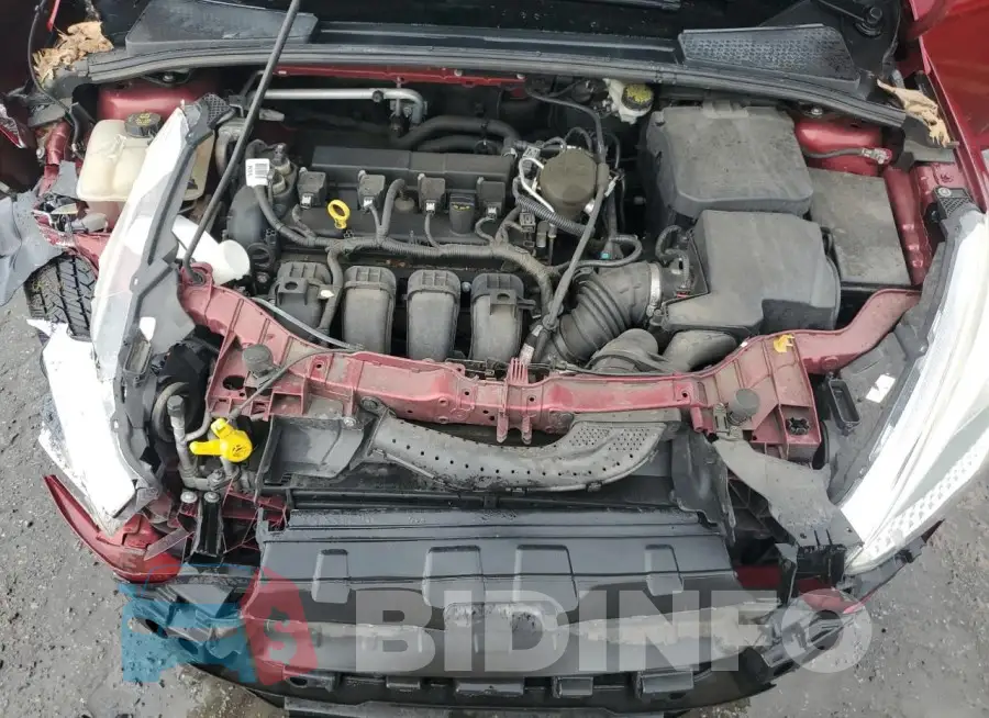 1FADP3F26GL215209 Photo# 11