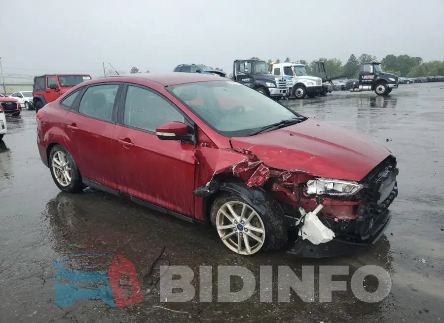1FADP3F26GL215209 Photo# 4