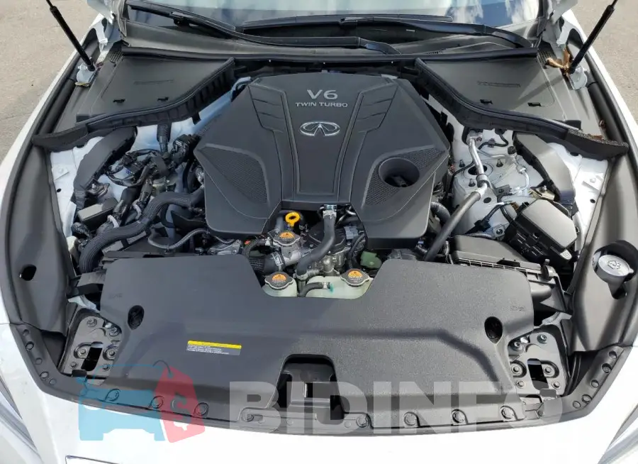 JN1EV7BR3RM631281 Photo# 11