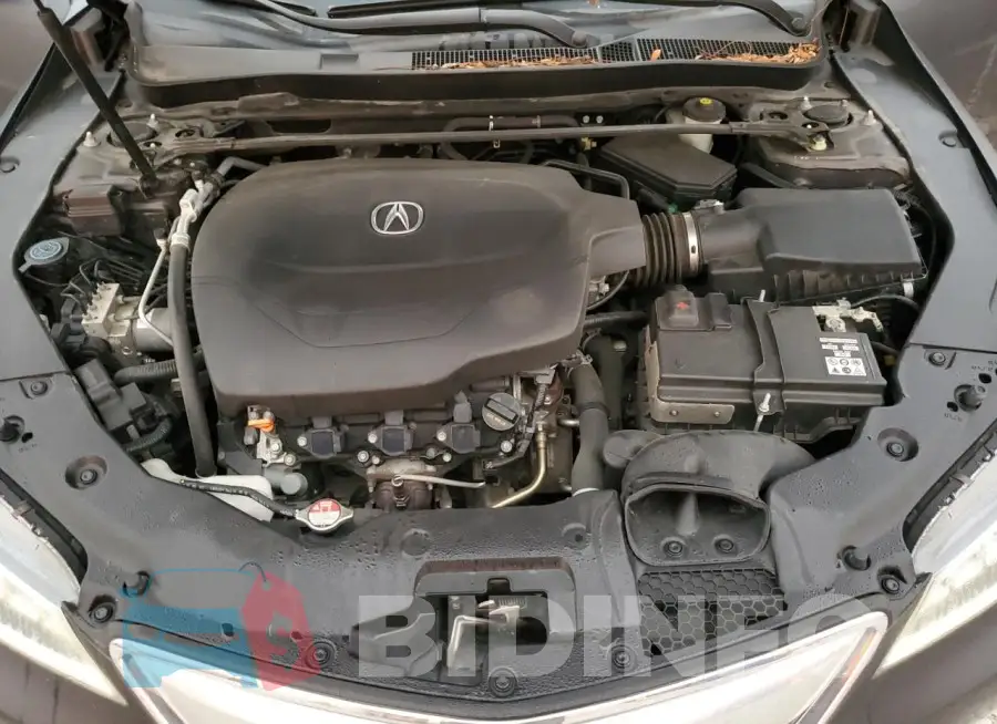 19UUB2F51GA006776 Photo# 11