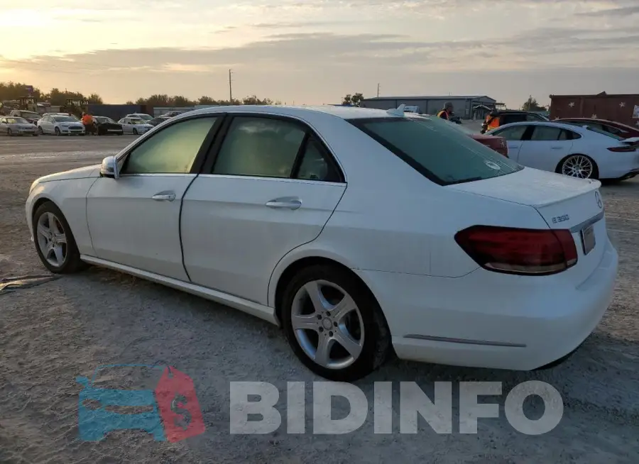 WDDHF8JB2FB148167 Photo# 2