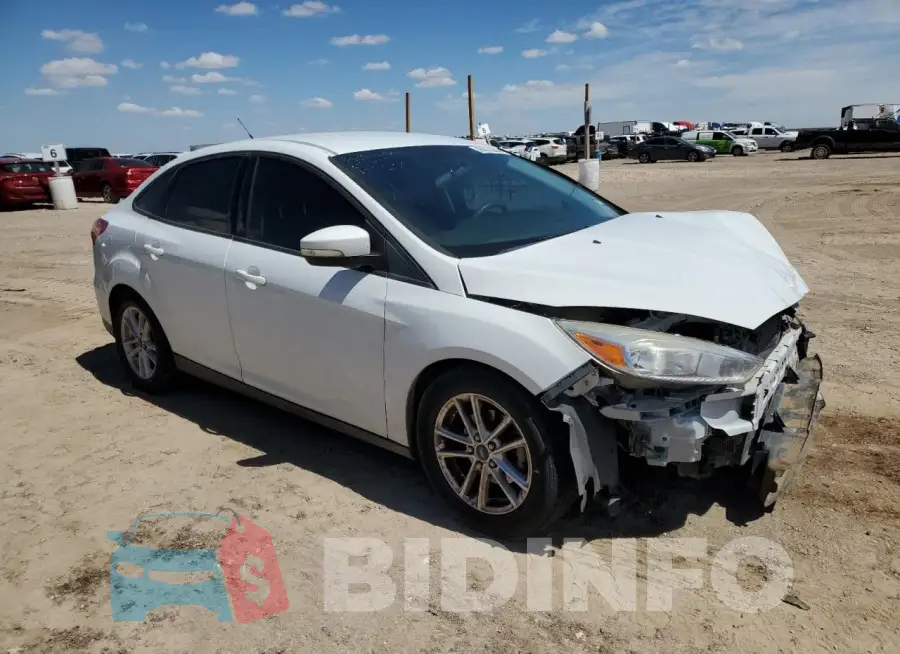 1FADP3F23GL213966 Photo# 4