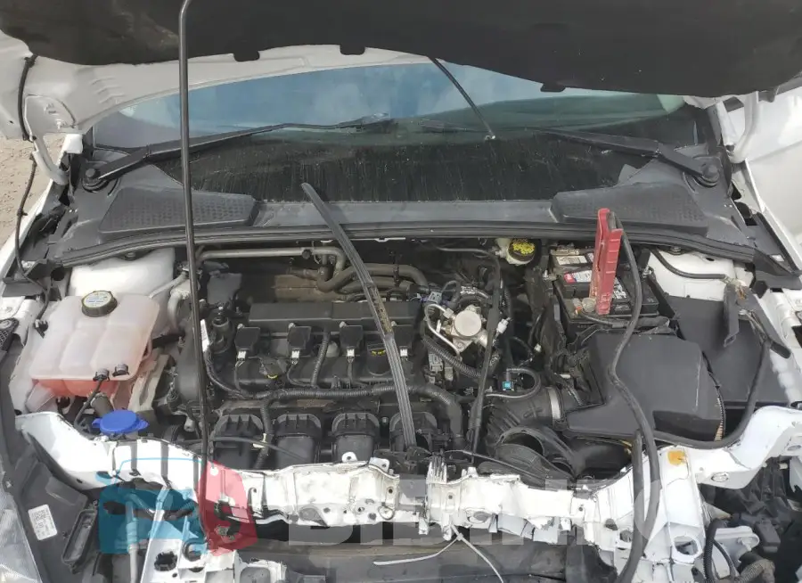 1FADP3F2XGL360009 Photo# 11