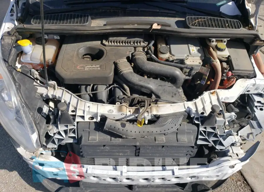 1FADP5CU4GL104191 Photo# 11