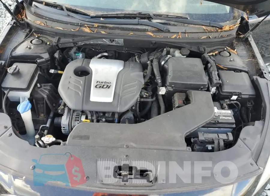 5NPE24AA8FH239113 Photo# 11