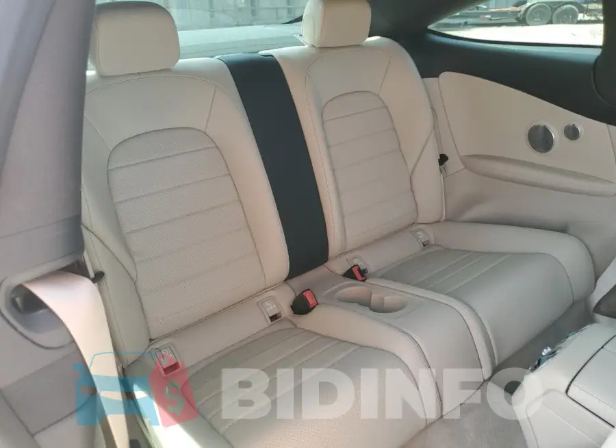 WDDWJ8DB1LF948934 Photo# 10