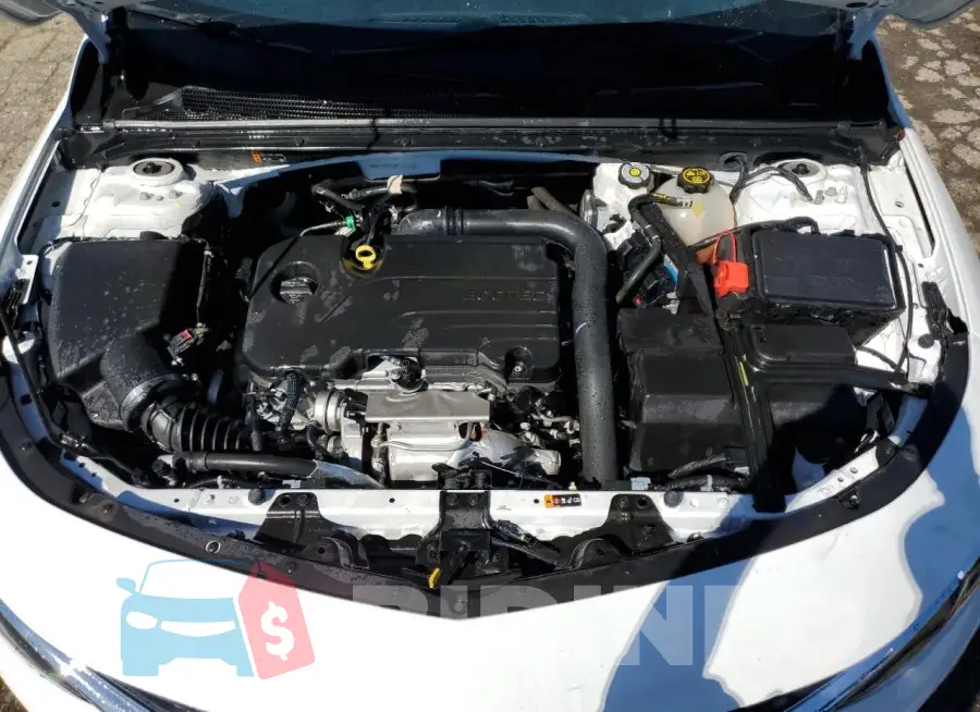 1G1ZD5ST6PF166717 Photo# 11