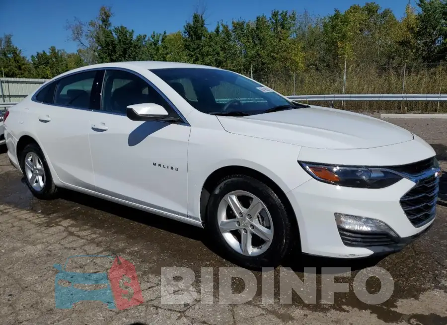 1G1ZD5ST6PF166717 Photo# 4
