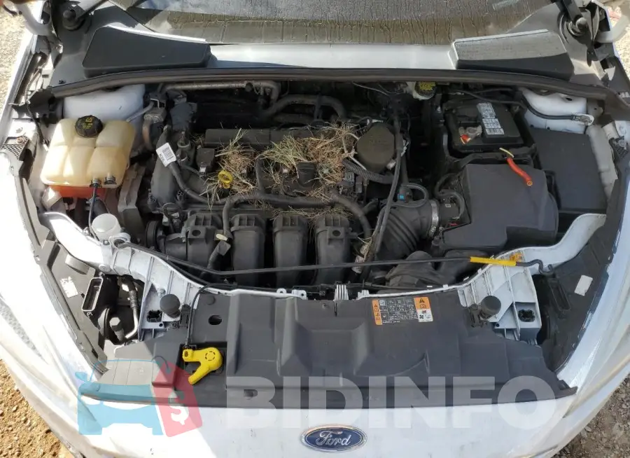 1FADP3F20GL222186 Photo# 11