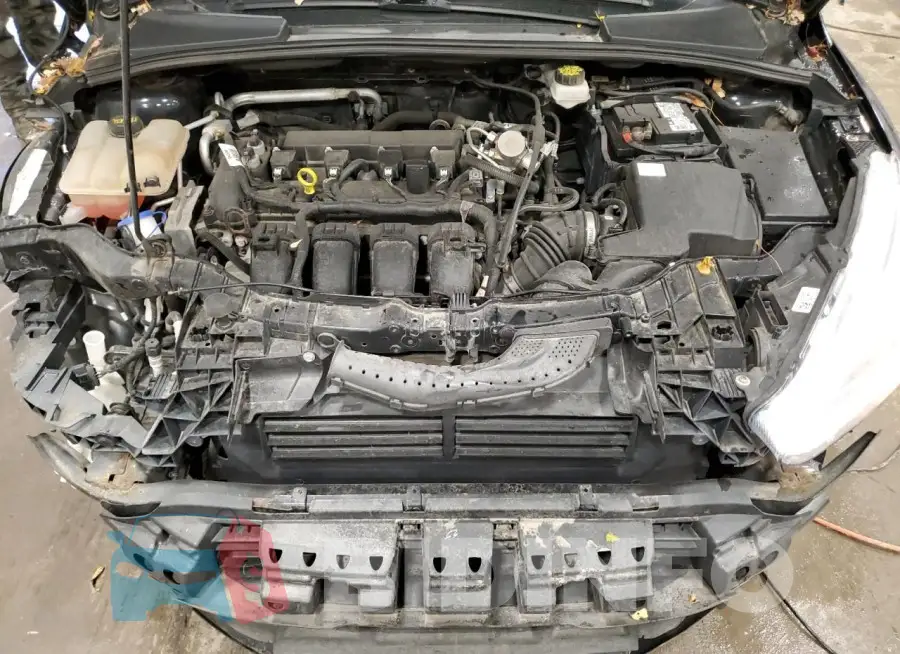 1FADP3J2XJL225529 Photo# 11
