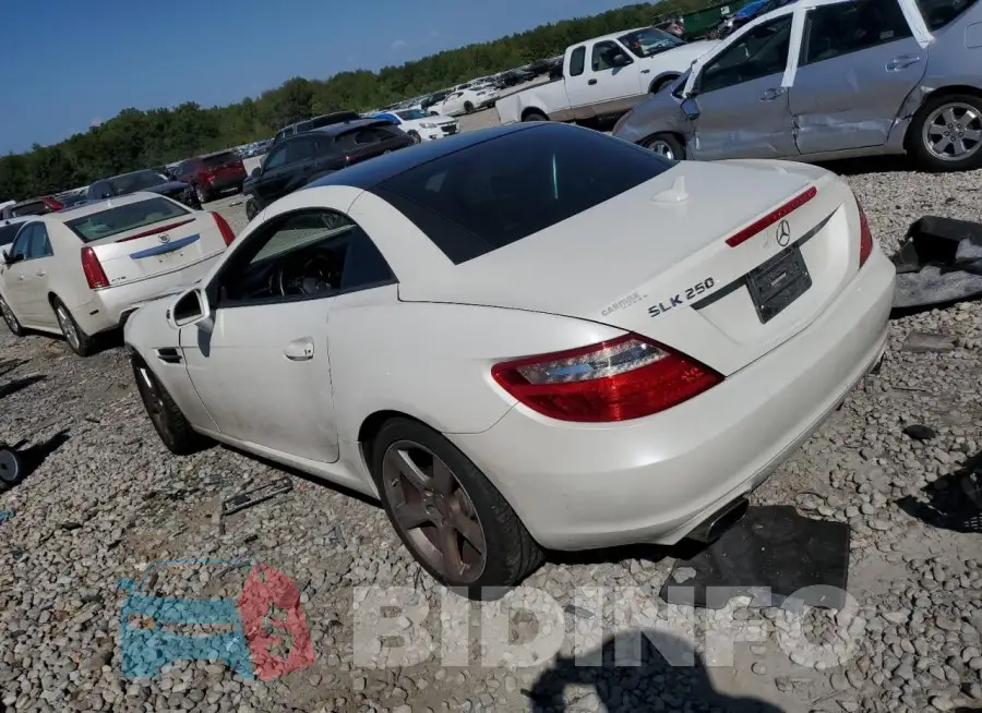 WDDPK4HA3FF100148 Photo# 2