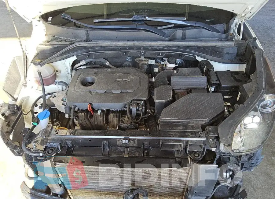 KNDPM3ACXM7926593 Photo# 12