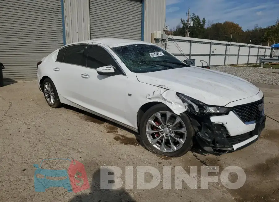 1G6DN5RK5M0136282 Photo# 4
