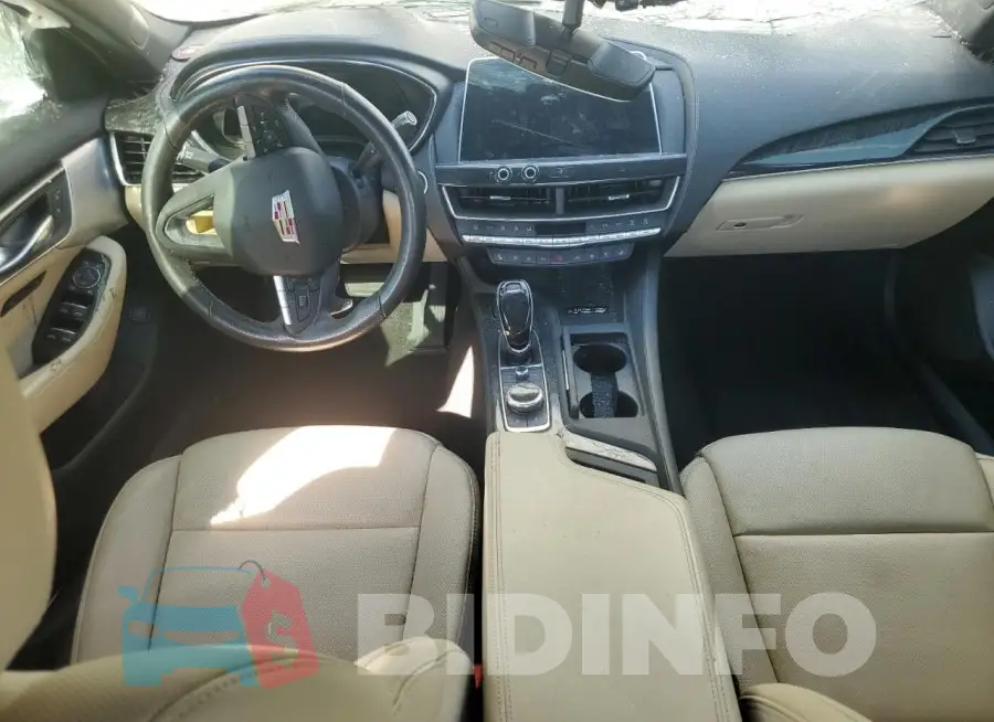 1G6DN5RK5M0136282 Photo# 8