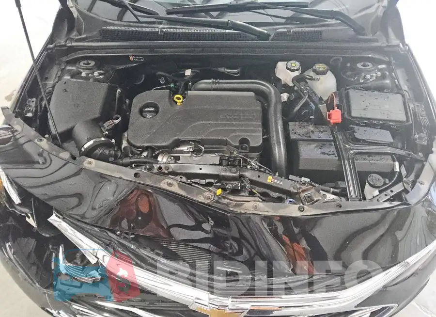 1G1ZD5ST4RF226920 Photo# 11