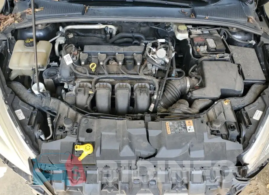 1FADP3F26HL267652 Photo# 11