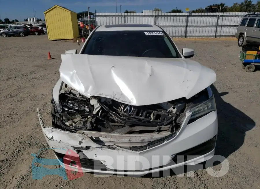19UUB1F56FA013232 Photo# 5