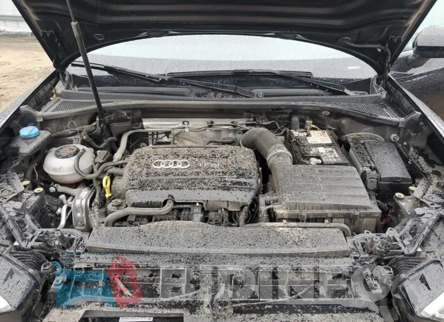 WA1FECF37K1081813 Photo# 12