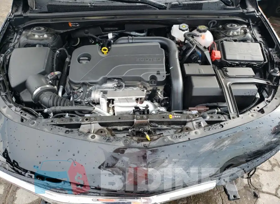 1G1ZD5ST0RF207488 Photo# 11