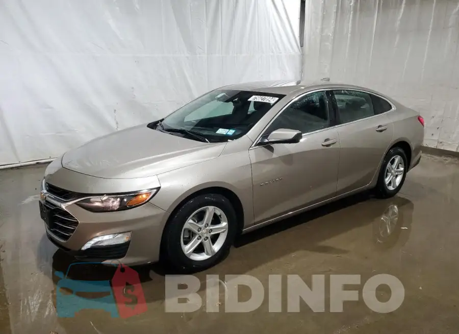 1G1ZD5ST1RF160827 Photo# 1
