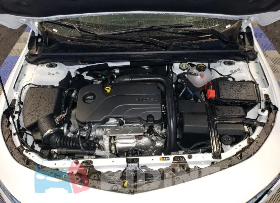 1G1ZD5ST2RF250486 Photo# 11